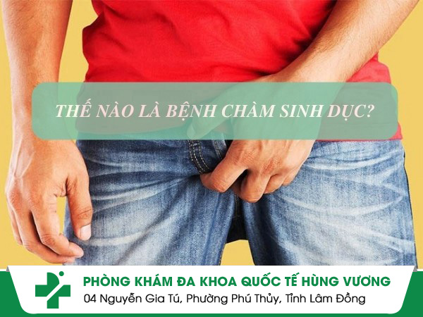 chàm sinh dục